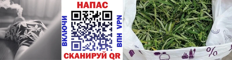 купить закладку Мурино Бошки марихуана конопля